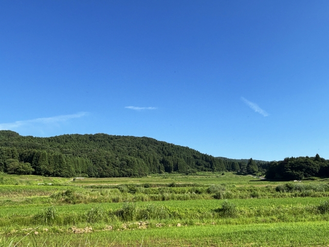 「田舎だから集患はいらない」は本当？地方歯科が直面する現実とは