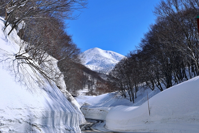 年末年始、どんなふうに過ごしていますか